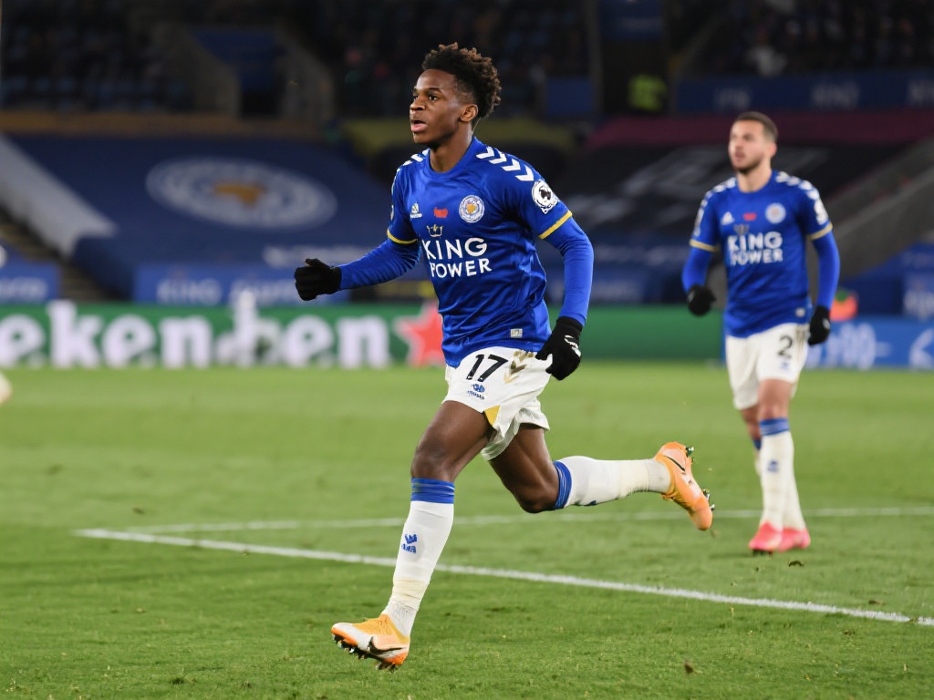 向可视化和 向可视化和